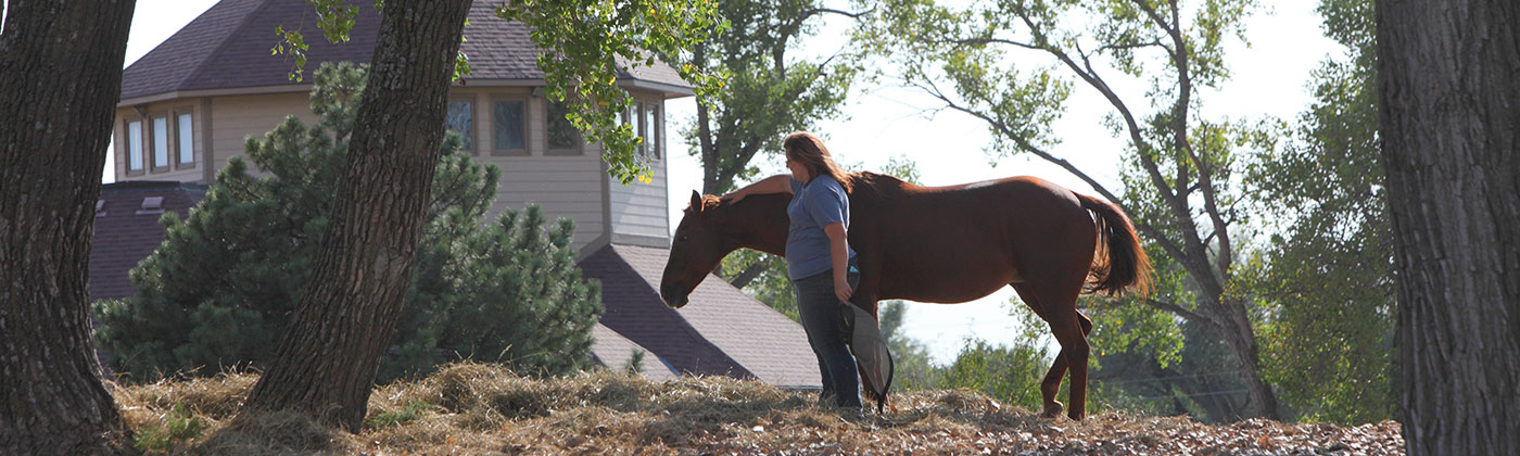 Blue Sky Ranch, Haysville KS equine therapist with horse