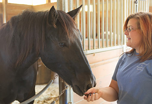 Camber White, equine therapy specialist Camber White, equine therapy specialist