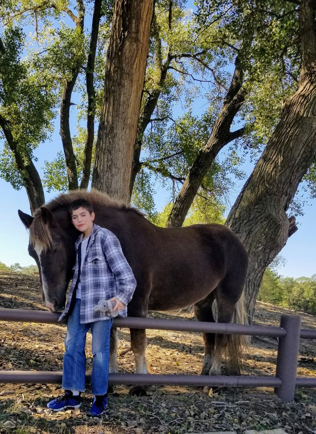 Equine therapy for youth Therapy horse with children
